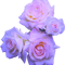 Roses .png
