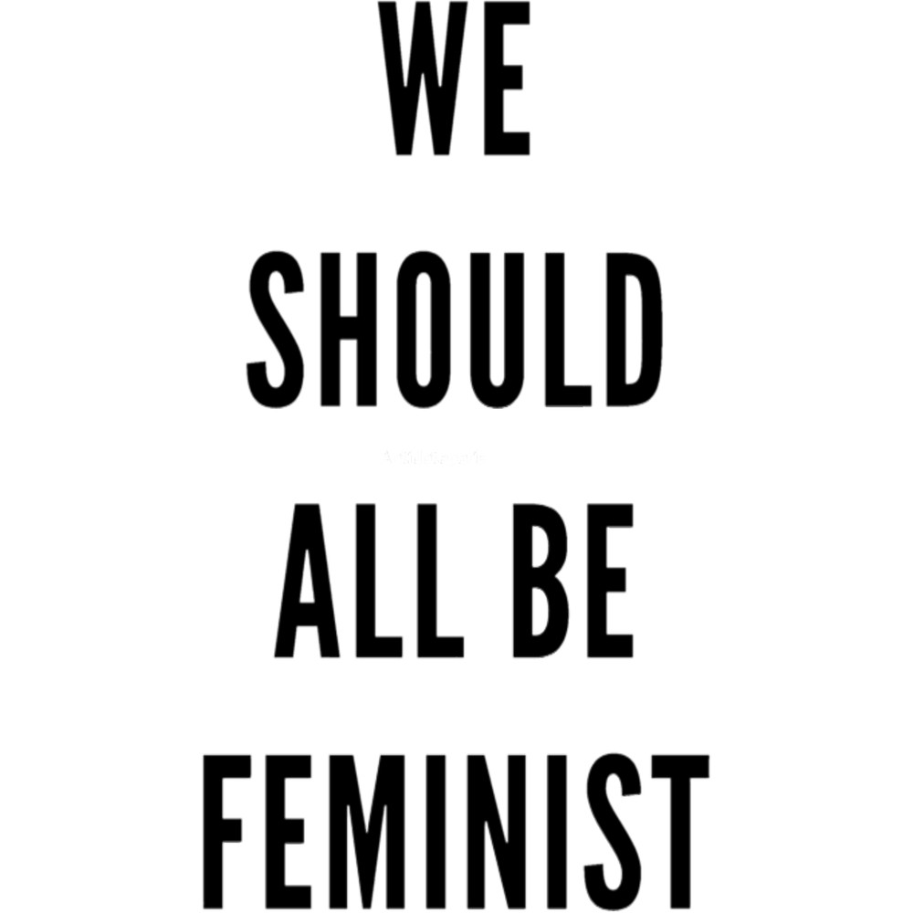 We Should All Be Feminist .png
