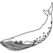 Whale .png