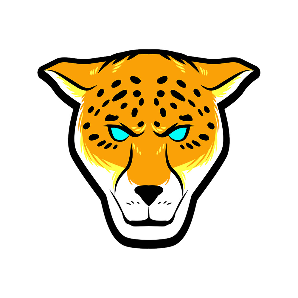 Wild puma face .png