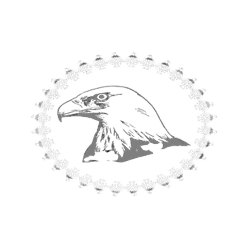 Eagle .png