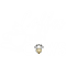 Coffee then Cows love .png