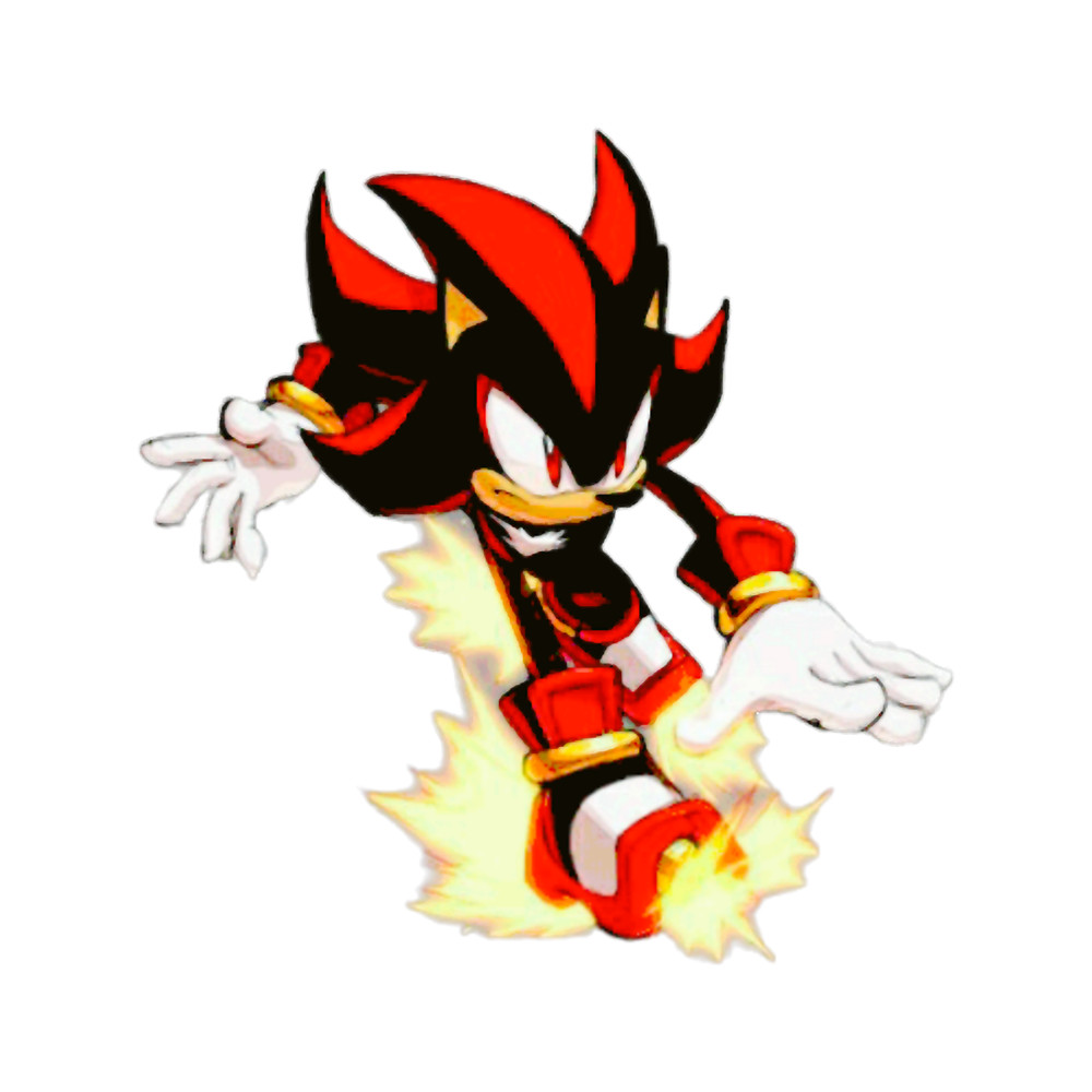 Shadow the hedgehog .png