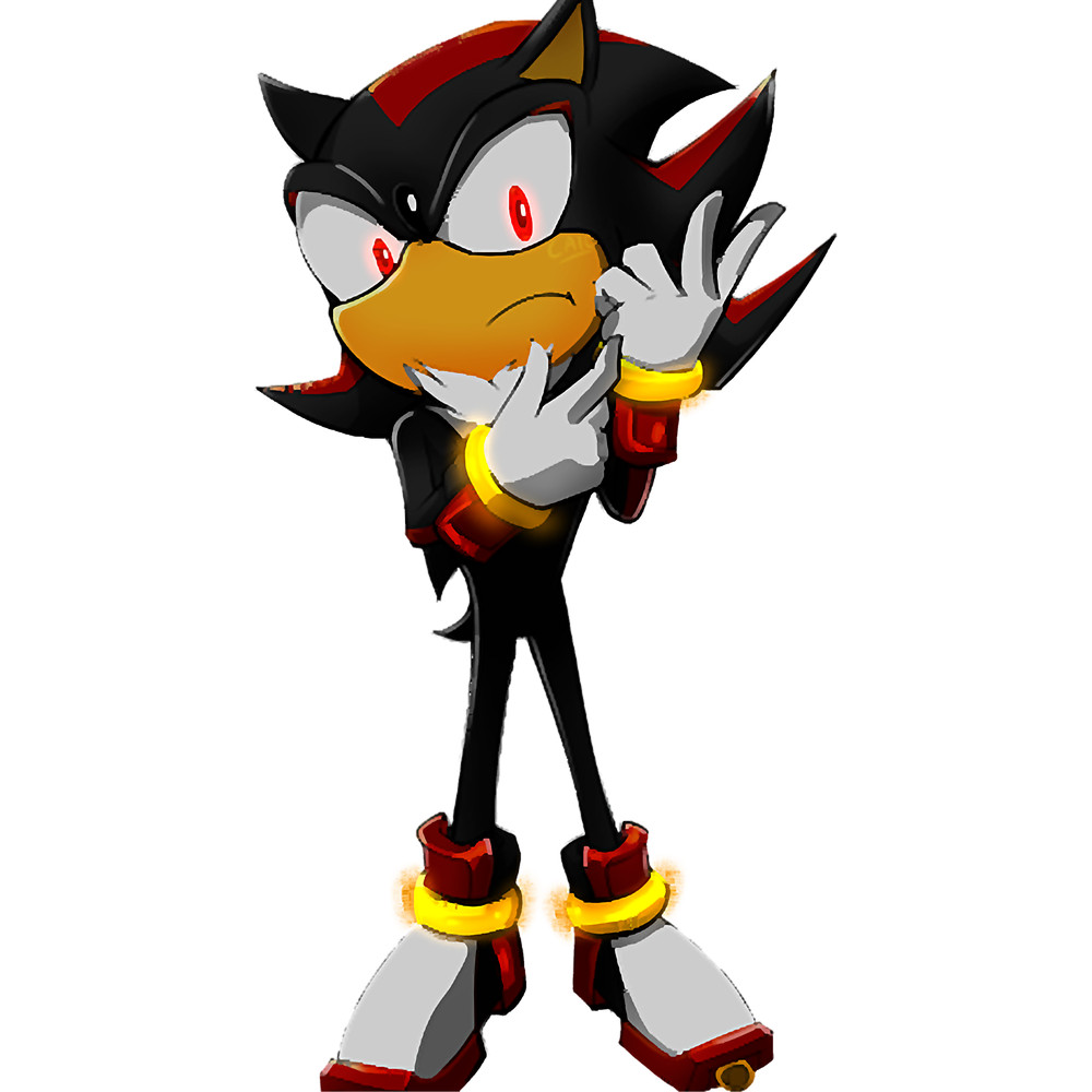 Shadow the Hedgehog(5).png