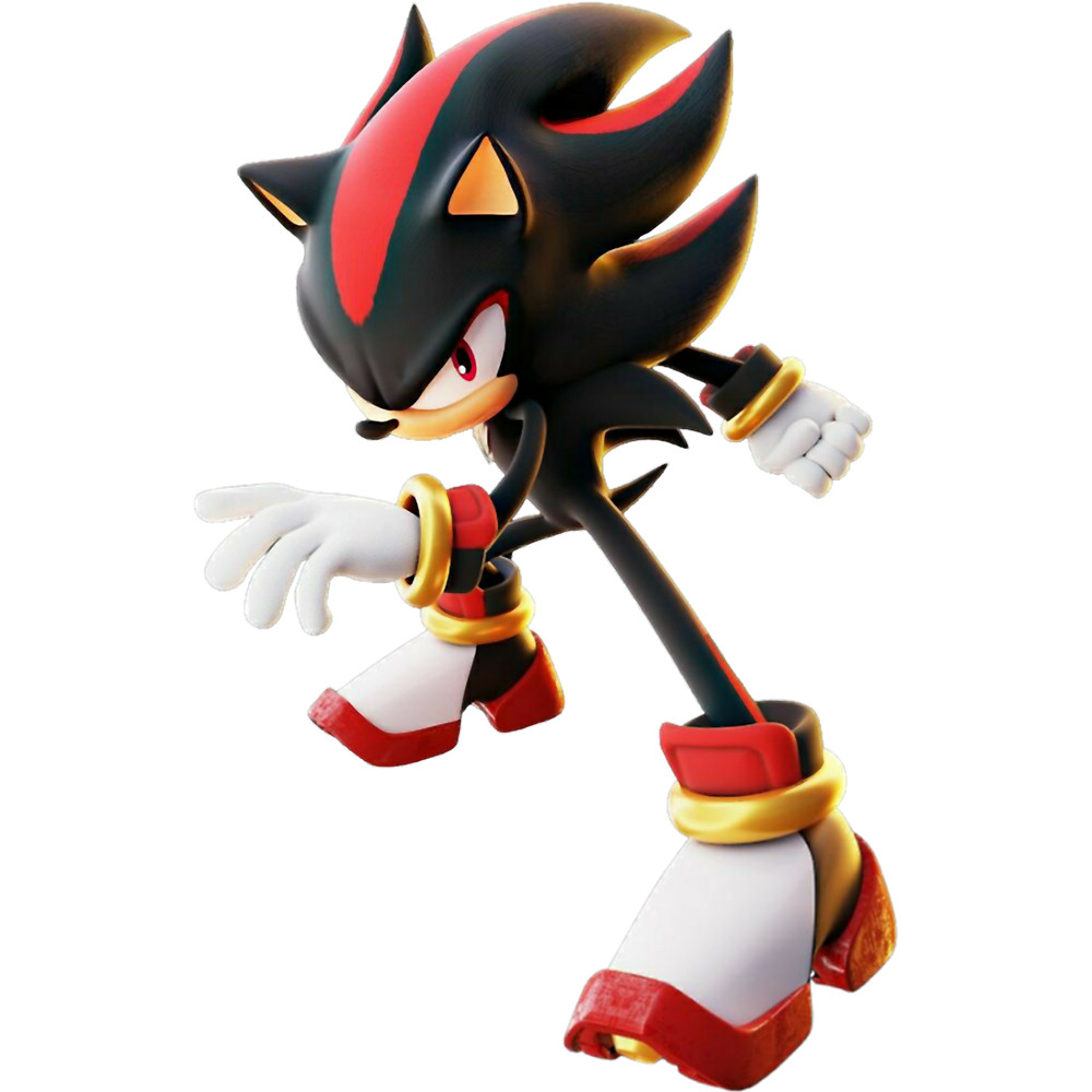 Shadow the hedgehog(11).png