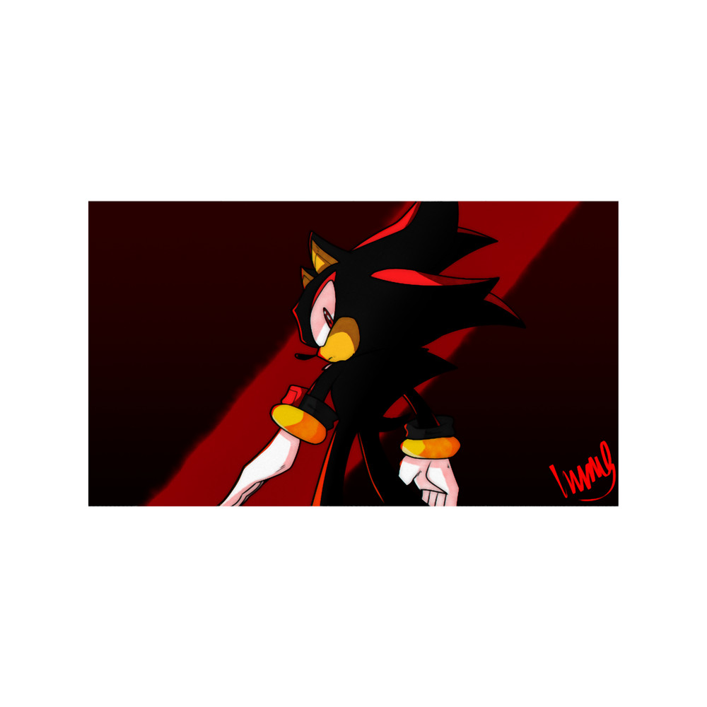 Shadow the Hedgehog(24).png