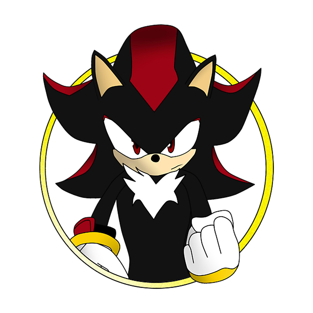 Shadow the Hedgehog(30).png