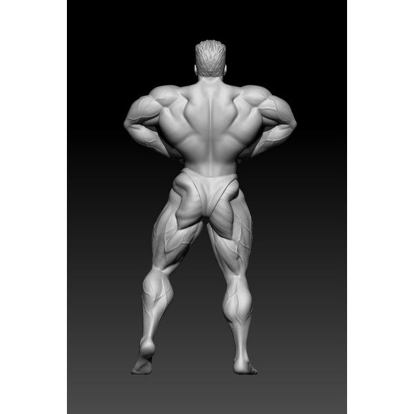 3D Model STL file Bodybuilder Strong man