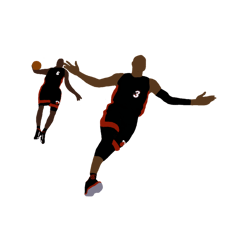 dwyane wade lob to lebron james