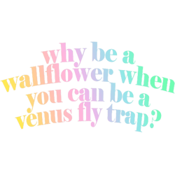 marinavenus fly trap