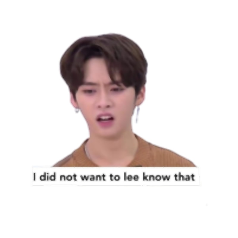 Stray Kids Lee Know Meme Inspire Uplift stray-kids-lee-know-meme-inspire-uplift