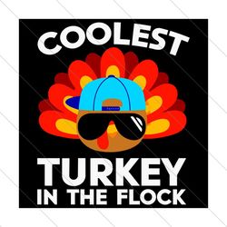 coolest turkey in the flock thanksgiving svg, thanksgiving svg file