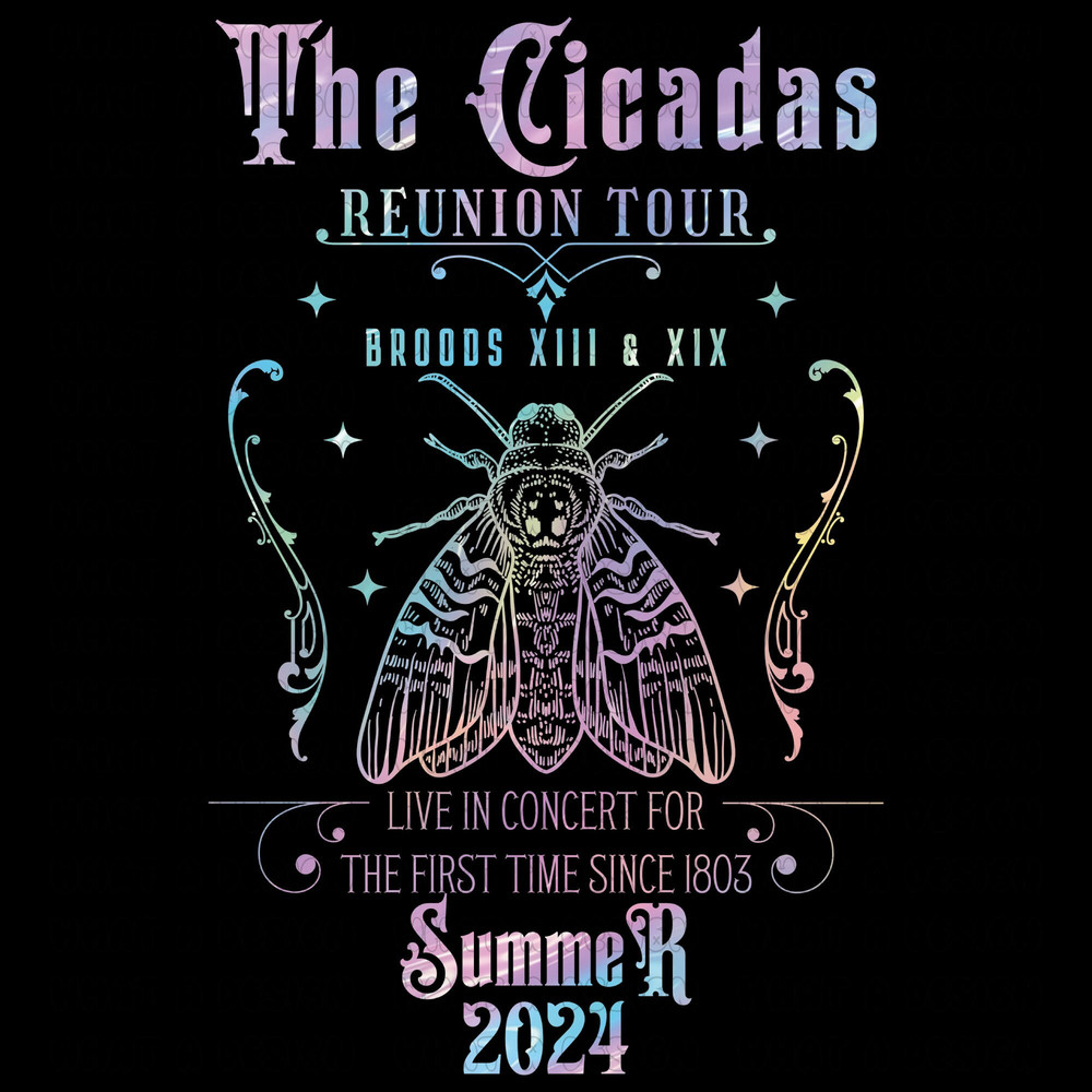 Cicada Reunion Summer 2024 PNG, Cicada Invasion PNG, Year of the Cicadas, Funny Cicada Concert Png, Cicada Brood, Insect Lover Gifts.jpg