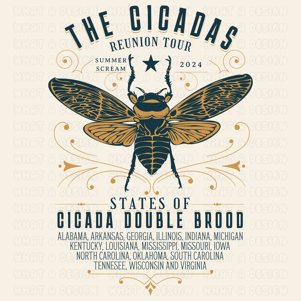 Cicada Reunion Tour Png, Cicada Png Shirt, Cicada Concert Tour 2024, Brood XIII & XIX Cicadas 2024 Sublimation, Cicada Reunion Tour Shirt.jpg