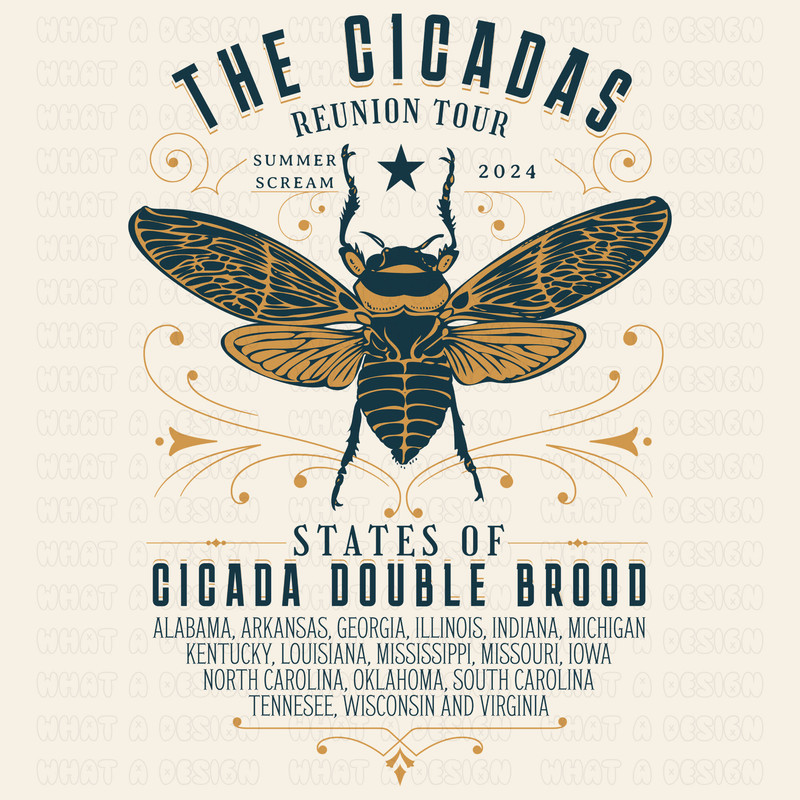 Cicada Reunion Tour Png, Cicada Png Shirt, Cicada Concert Tour 2024, Brood XIII & XIX Cicadas 2024 Sublimation, Cicada Reunion Tour Shirt.jpg