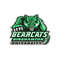 Binghamton Bearcats embroidery design INSTANT download.jpg