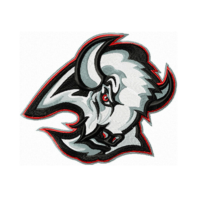 Buffalo Sabres embroidery design INSTANT download.jpg