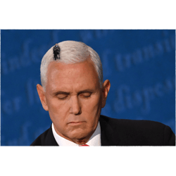 bernie sanders sitting on mike pence fly