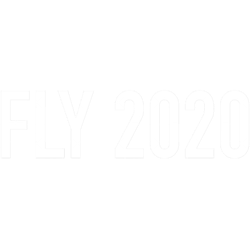 fly 2020 funny mike pence debate meme