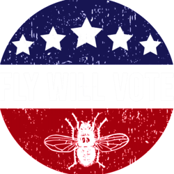 fly will votepresidential election 2020