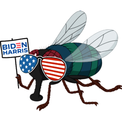 vote biden harris flies mike pence fly