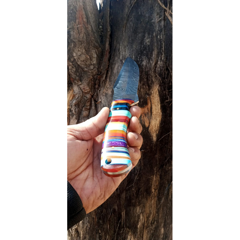 WhatsApp Image 2024-02-27 at 9.52.18 PM.jpeg