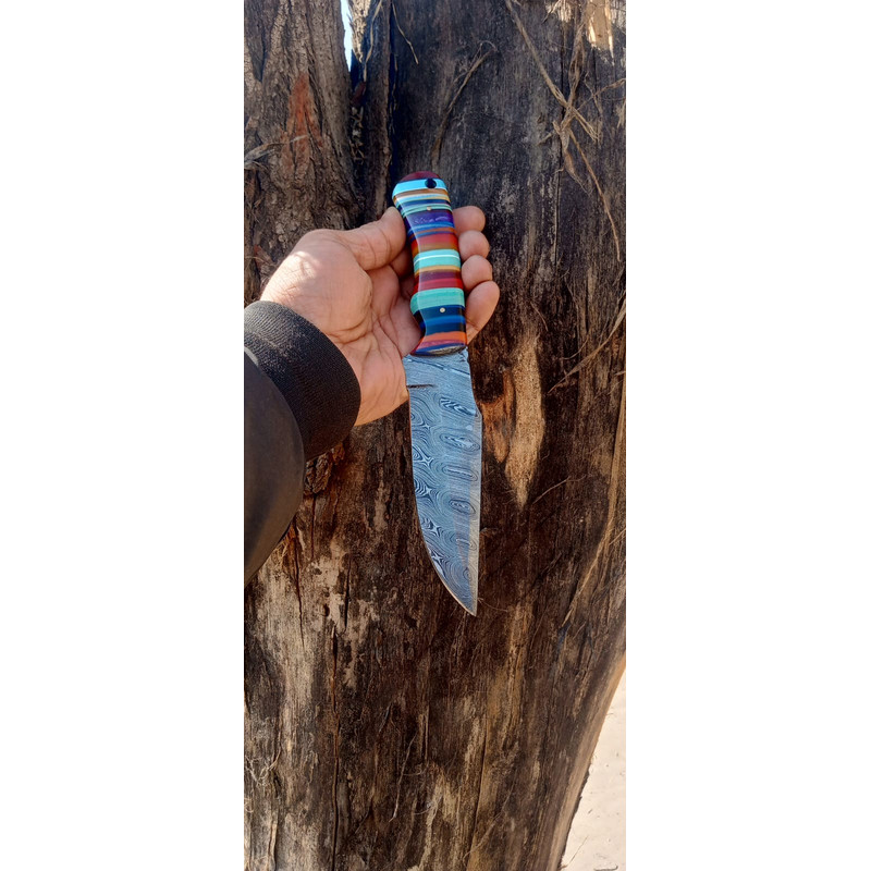 WhatsApp Image 2024-02-27 at 9.54.29 PM.jpeg