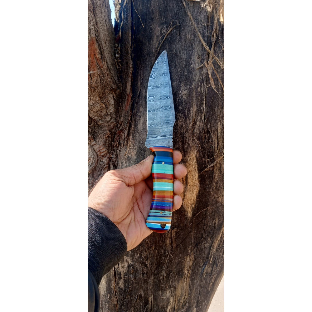 WhatsApp Image 2024-02-27 at 9.54.30 PM (1).jpeg