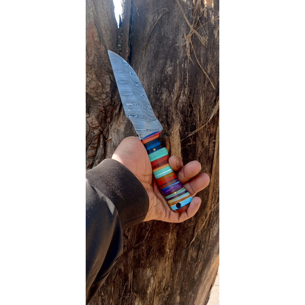 WhatsApp Image 2024-02-27 at 9.52.17 PM (1).jpeg