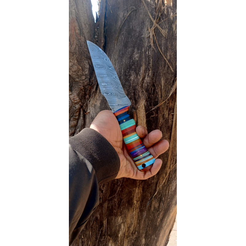 WhatsApp Image 2024-02-27 at 9.52.17 PM (1).jpeg