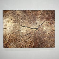 3d canvas, canvas decor, canvas home decor, contemporary artwork, modern art canvas, abstract canvas, nature poster, abs