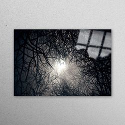 glass printing, glass wall art, tempered glass, moonlight, forest landscape glass, moonlight glass art, forest tempered
