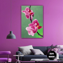 pink orchid flower fuchsia red macro roll up canvas, stretched canvas art, framed wall art painting