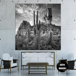 large black and white photo poster original desert and cactus print grand canyon wall hanging art for living room