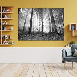 sun light in forest canvas, black and white design, living room decor, forest poster