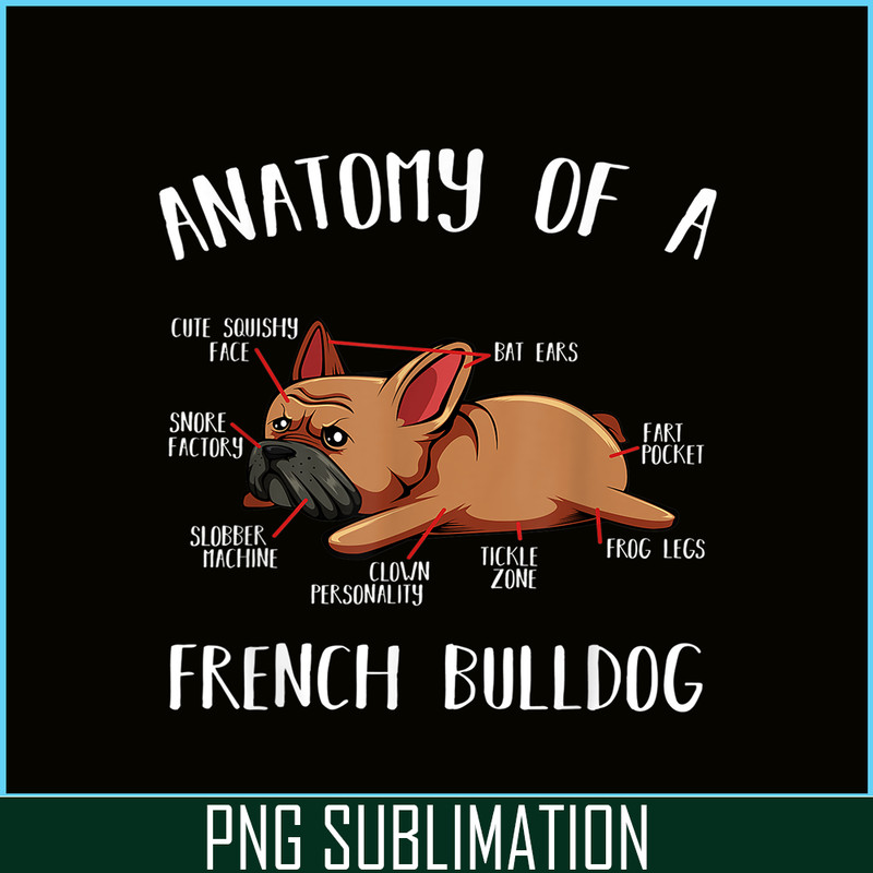 HL16102304-Anatomy Of A French Bulldog PNG Frenchie Dog PNG, Bulldog Mascot PNG.png