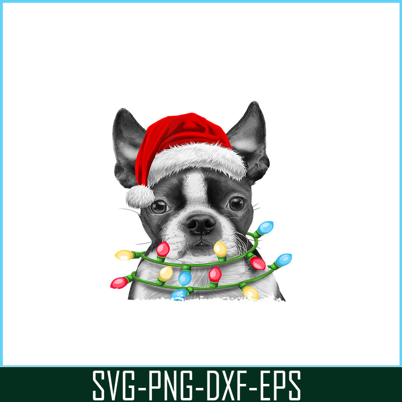 PNG141023106-Boston Terrier Santa Christmas Tree Lights Xmas Gifts Boys T-Shirt Png.png