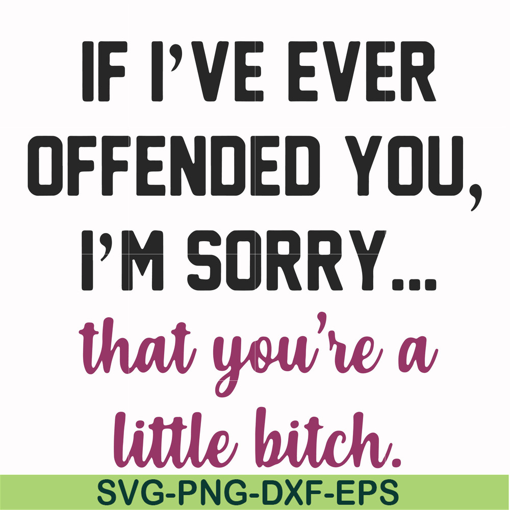 FN000506-If I've ever offended you I'm sorry that you're a little bitch svg, png, dxf, eps file FN000506.jpg