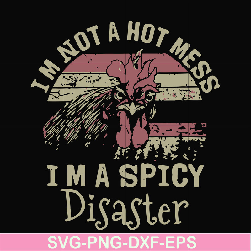 FN000129-I'm not a hot mess I'm a spicy disaster svg, png, dxf, eps file FN000129.jpg