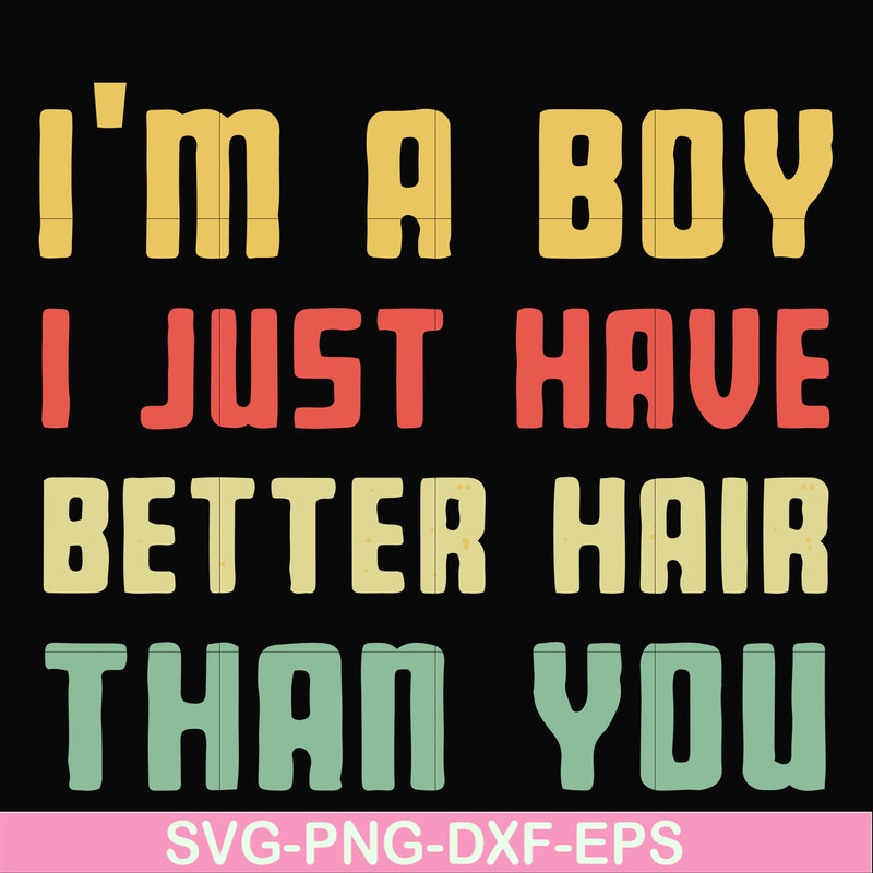 FN000395-I'm a boy I just have better hair than you svg, png, dxf, eps file FN000395.jpg