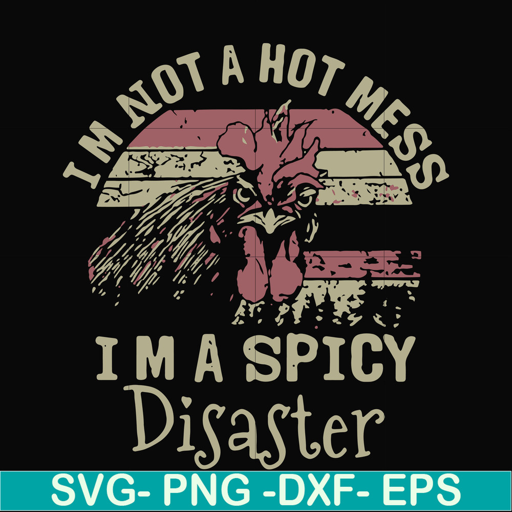 FN000129-I'm not a hot mess I'm a spicy disaster svg, png, dxf, eps file FN000129.jpg