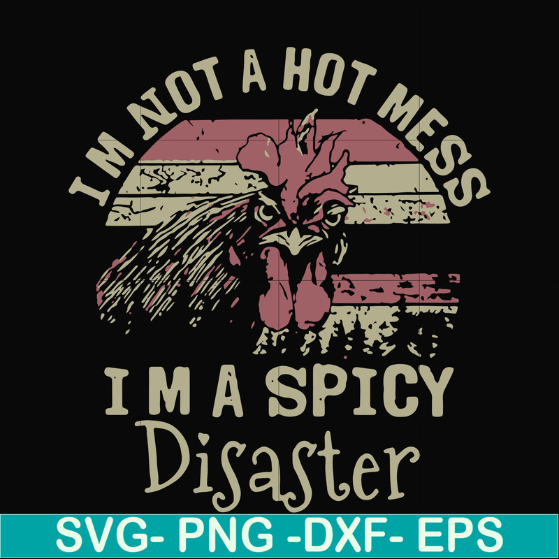 FN000129-I'm not a hot mess I'm a spicy disaster svg, png, dxf, eps file FN000129.jpg