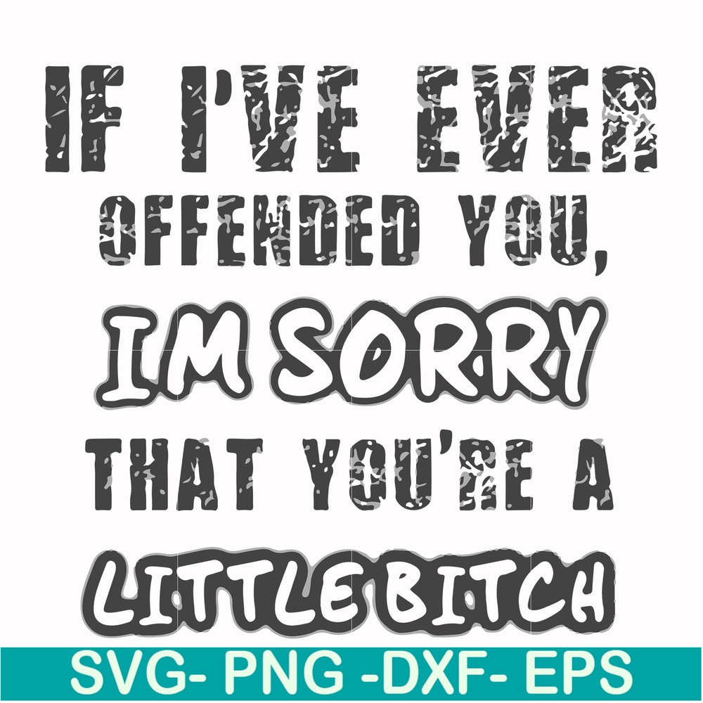 FN000662-If I've ever offended you Im sorry that you're a little bitch svg, png, dxf, eps file FN000662.jpg