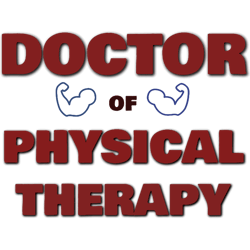 doctor of physical therapy doctor