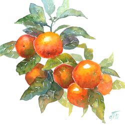 Orange painting original botanical art mandarin watercolor tangerine fruit