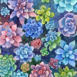 Multicolored succulents original watercolor painting floral botanical art