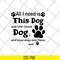FN11062104-All i need is this dog svg, png, dxf, eps digital file FN11062104.jpg
