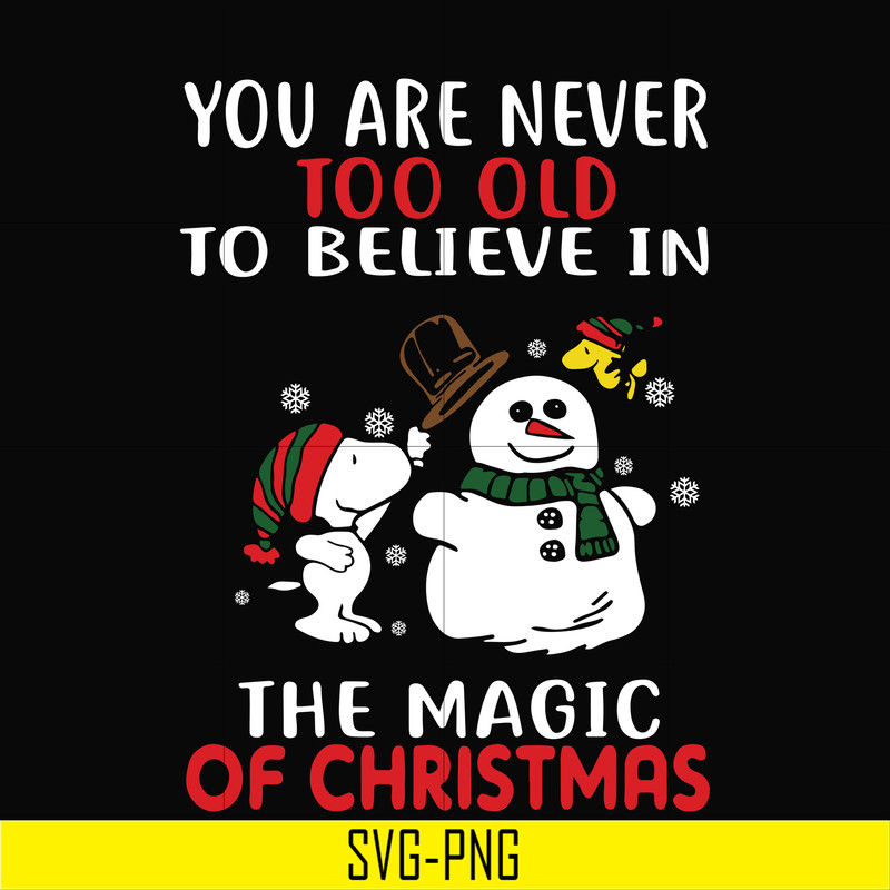 NCRM0178-You are never too old to believe in the magic of christmas svg, png, dxf, eps digital file NCRM0178.jpg