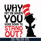 DR00025-Why fit in when you were born to stand out svg, png, dxf, eps file DR00025.jpg