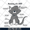 FN15062112-Cat Anatomy For svg, png, dxf, eps digital file FN15062112.jpg